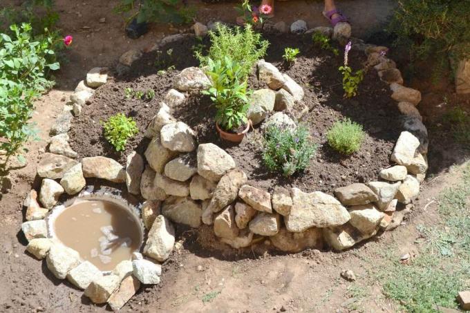 Créer une spirale à base de plantes avec un étang