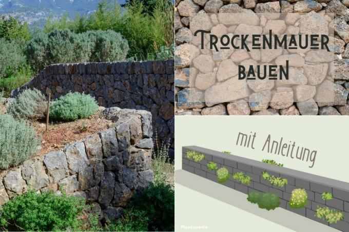 Sausų akmenų sienų statyba - pavadinimas