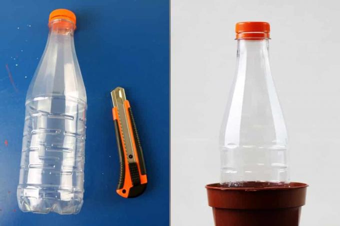 Rumah kaca mini - botol PET DIY