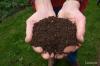Steaming soil from compost: instructions