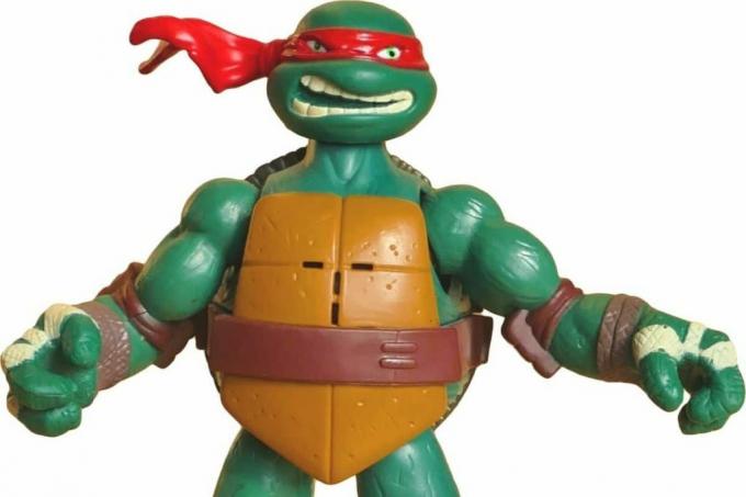 Teenage Mutant Ninja Turtle Figure