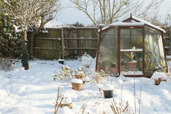 Θερμοκήπιο ως χειμερινός κήπος: Έτσι λειτουργεί