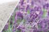 Talvehtiva laventeli: näin se toimii parvekkeella ja ruukussa