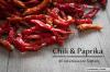 Sorte čilija: 46 pekočih, zanimivih sort paprike s sliko