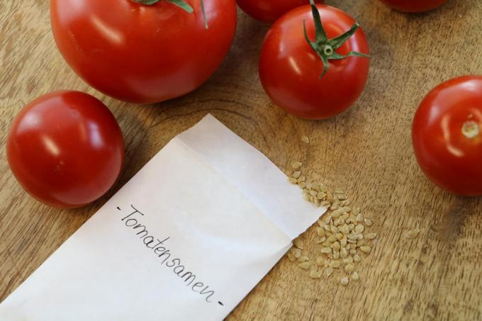 Store tomato seeds