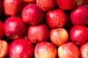 זן תפוחים Elstar: טעם, מיקום ומסיק