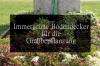 Výsadba hrobu: 26 stálezelených krytů na hrob
