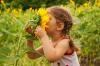 Giftfrie planter for barn og dyr