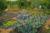Градинарство през август: всичко с един поглед