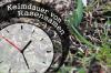 Χρόνος βλάστησης σπόρων γκαζόν / πληροφορίες για το χρόνο βλάστησης του χλοοτάπητα
