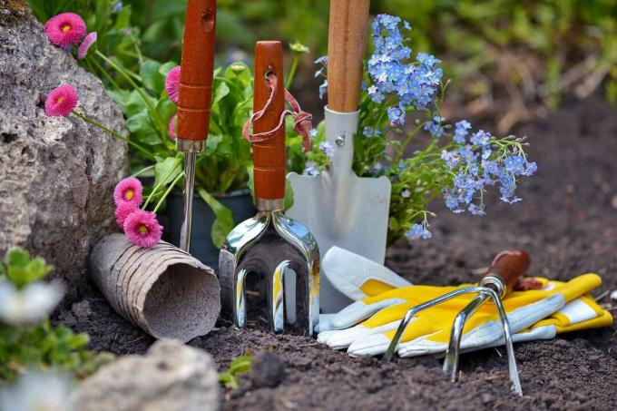 12 najvažnijih vrtlarskih zadataka u ožujku