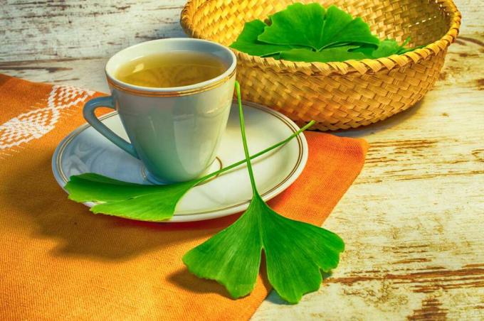 Φύλλα Ginkgo ως τσάι