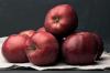 Punane sügis Kalvill: Õuna kasvatamine ja maitse
