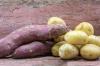 サツマイモの成分：カロリー値、炭水化物、タンパク質含有量