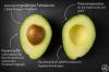 Авокадо: калории и хранителни стойности