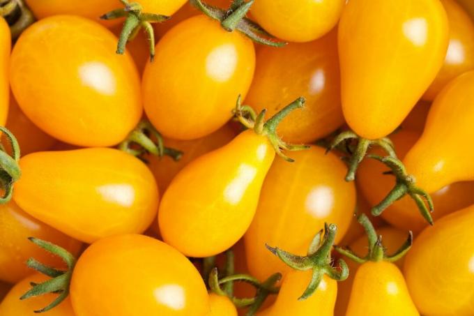Armut şeklinde sarı domates