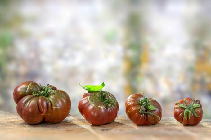 Sorte tomater fra Krim ligger på et bord