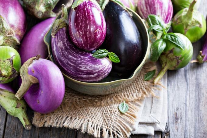Varianter av aubergine