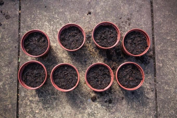 Eight pots filled with soil