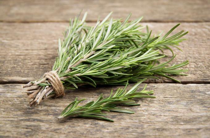 Rosemary tied on wooden culinary herbs