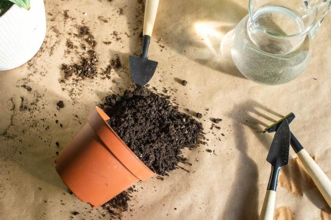 Peralatan untuk repotting, substrat, pot tanah liat