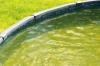 Alge v bazenu kljub sistemu peščenih filtrov