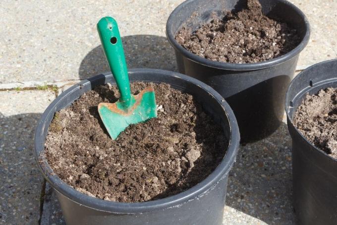 Pots with soil
