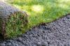 הנחת דשא: יתרונות והוראות מומחים