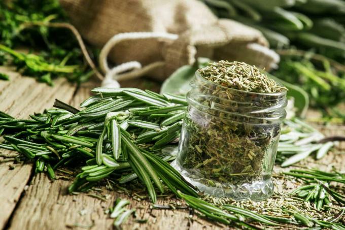 Dried rosemary in a glass of culinary herbs