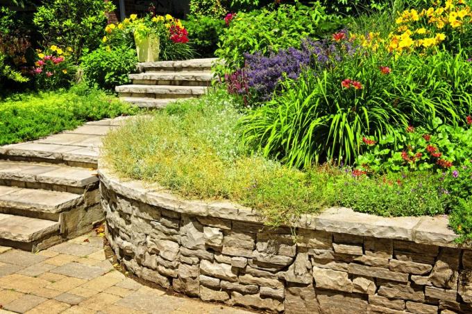 Projete o jardim da frente com uma parede de pedra natural