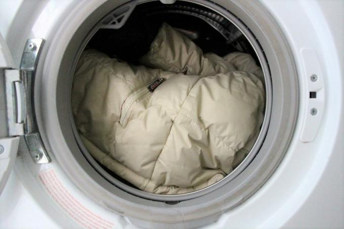 पिस्सू से छुटकारा - वाशिंग मशीन