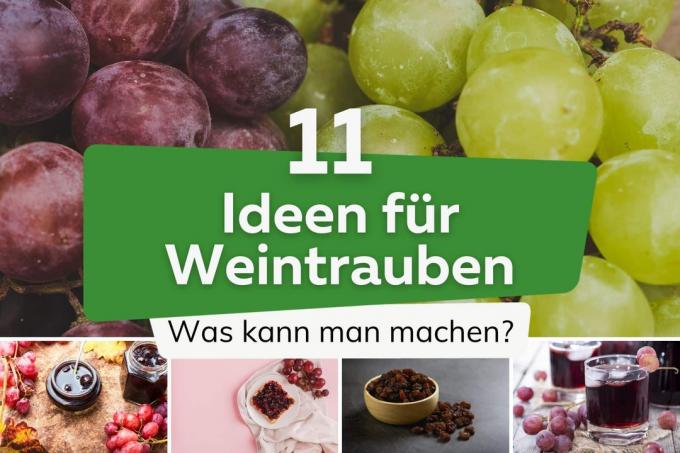 Какво можете да направите от грозде? 11 идеи