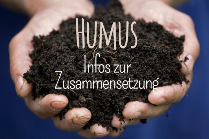 Humus soil composition - title