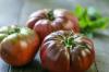 Brandywine Tomat: Odla och skörda sorten