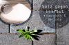 Salt mot ogräs: blandningsförhållande & applicering