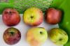 Pravilno shranjevanje jabolk: na to morate biti pozorni