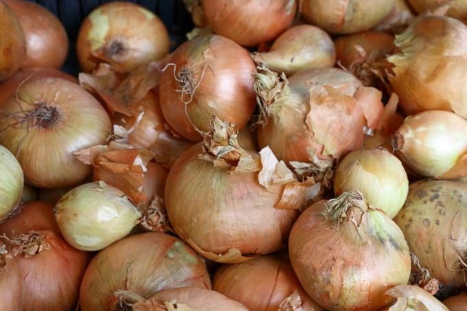 Storage of onions