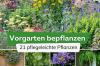 Plantation de la cour avant: 21 plantes faciles d'entretien