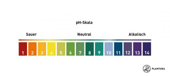 pH schaal