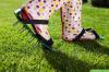 Fjern mos i græsplænen: 10 hjemmehjælpemidler, der ødelægger mos