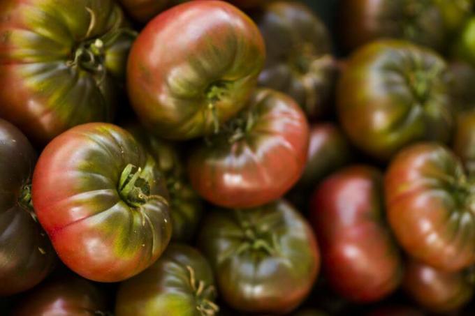 Cherokee violetiniai pomidorai