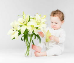 toddler with lilies