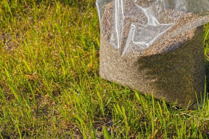 Benih rumput dalam kantong plastik