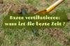 Scarifying rumput: kapan waktu terbaik