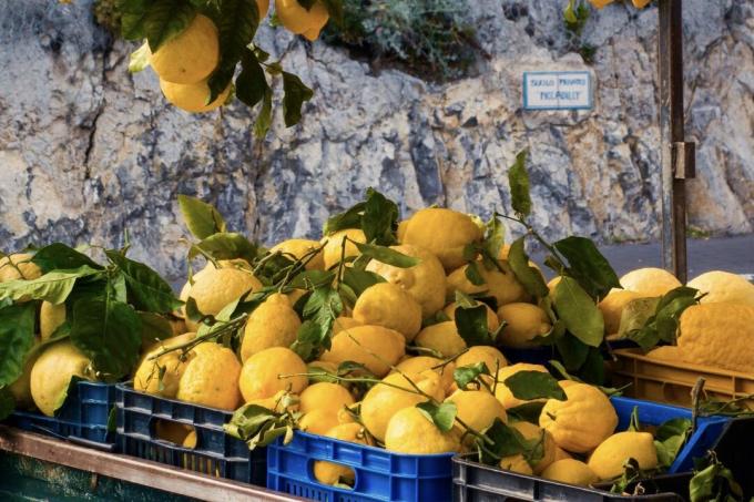 Amalfi citroner till salu
