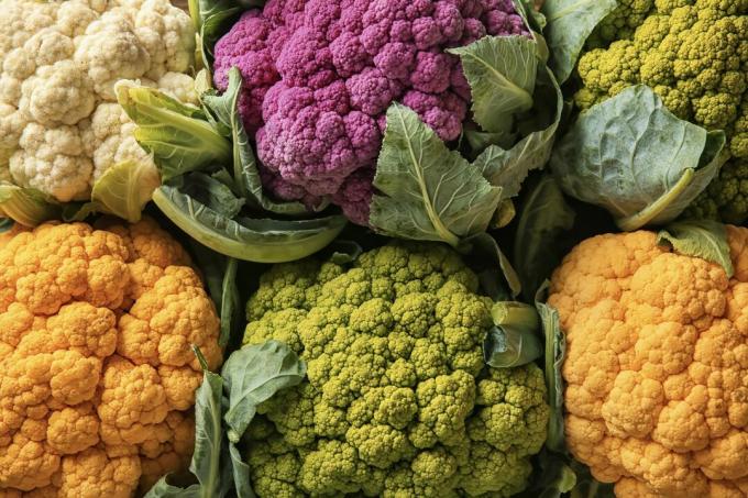 colorful cauliflower varieties