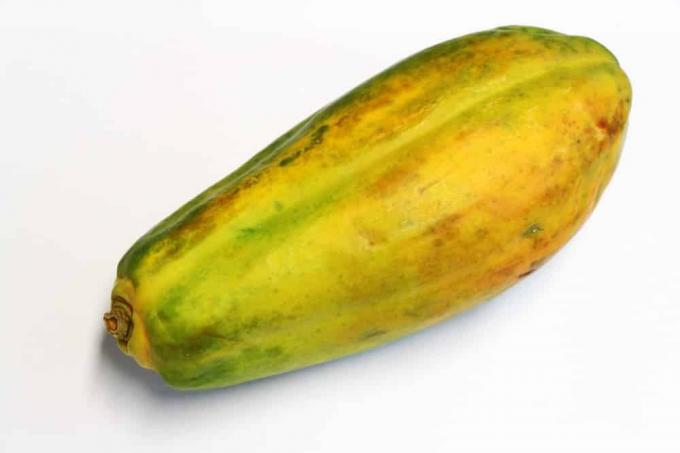 Papaya carica - melones koks