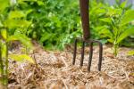 Jardinería sobre paja: ¿qué hay detrás?