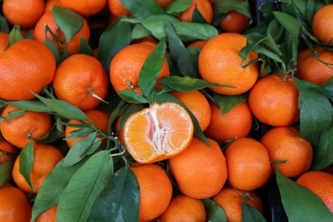ripe clementines