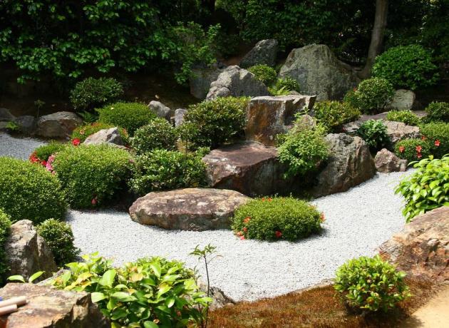 Modern zen garden with plants